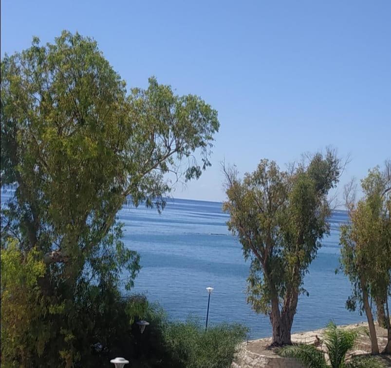 Galatex Μaisonette Daire Limasol Dış mekan fotoğraf